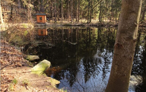 Fotka Žiadosť o ruku